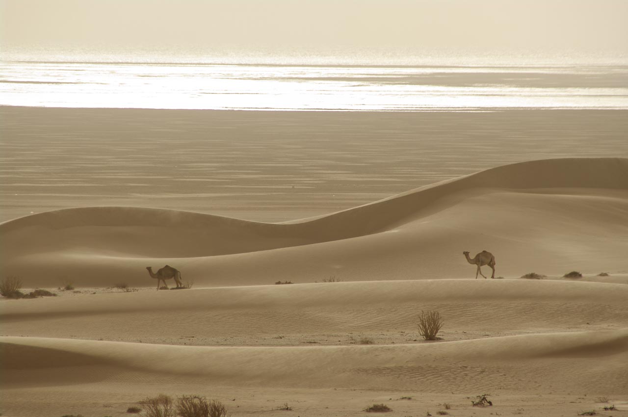 Bivouac dans les dunes