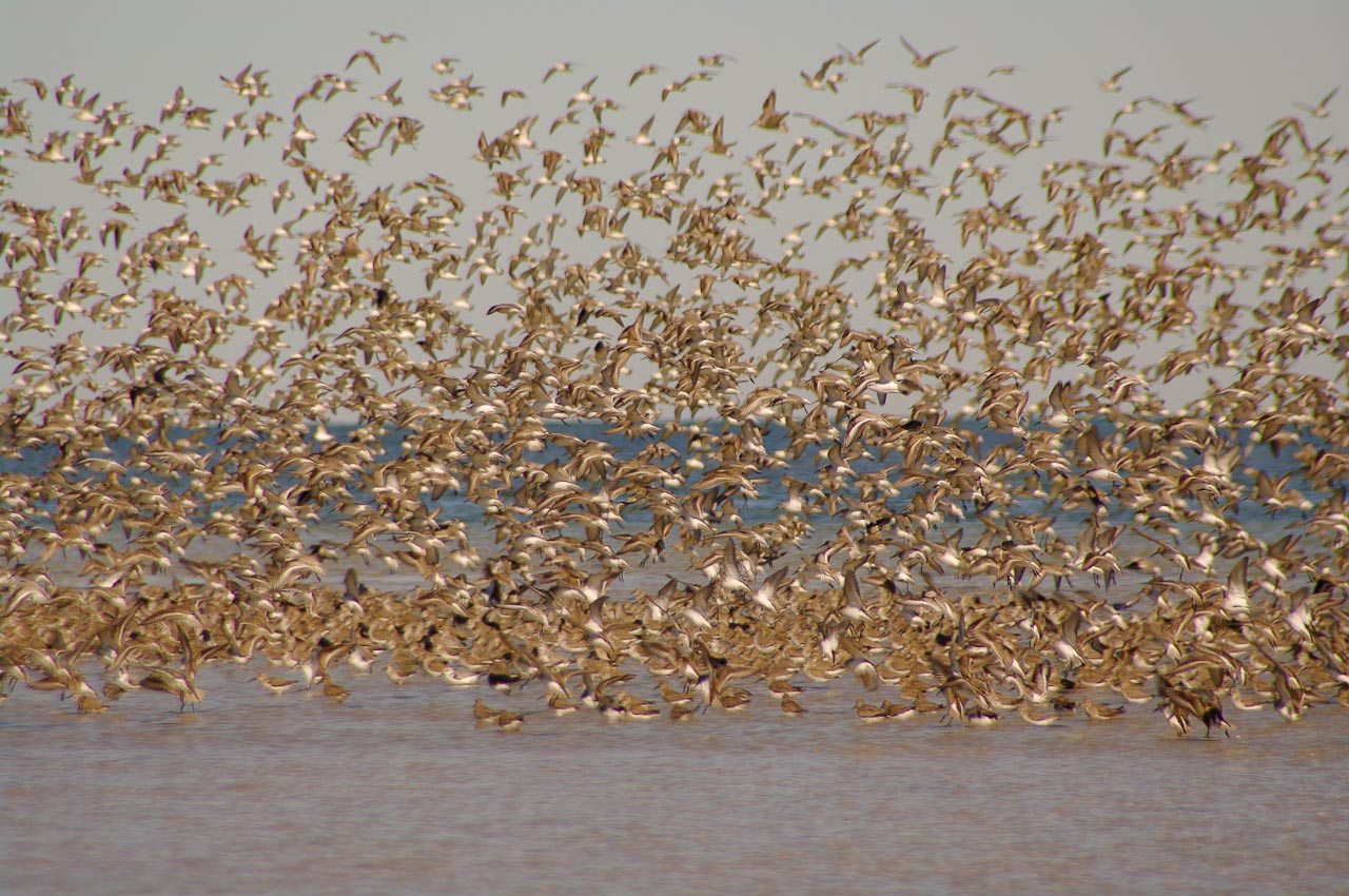 Moments de contemplation
