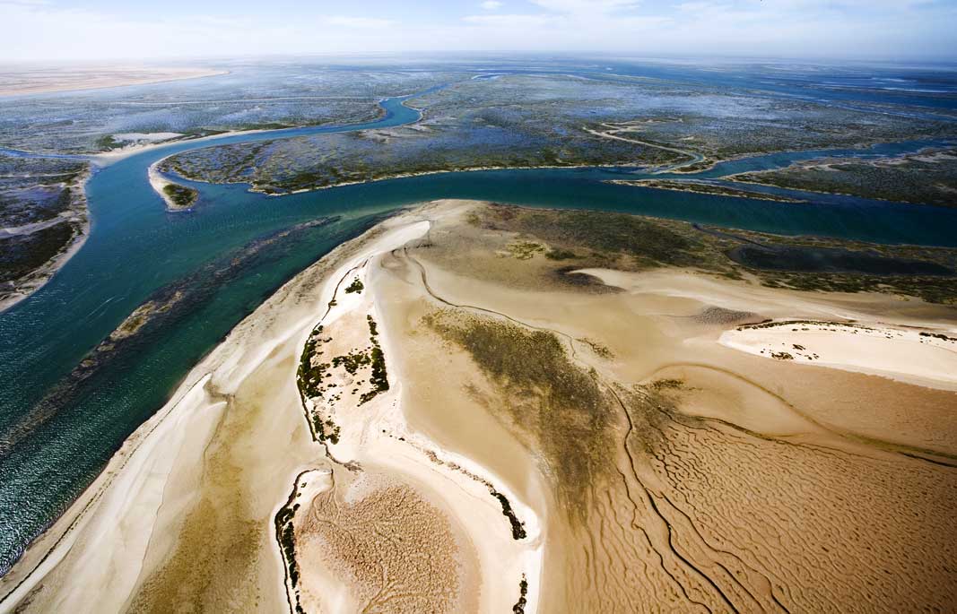 Parc National du Banc d'Arguin